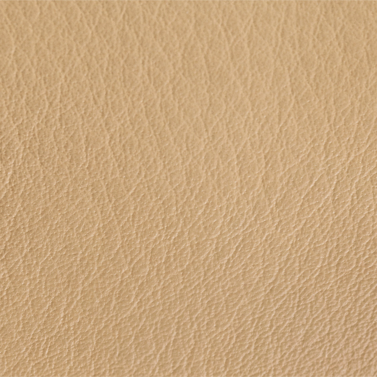PUFFY Sofa | Edelstahl Leder Sand