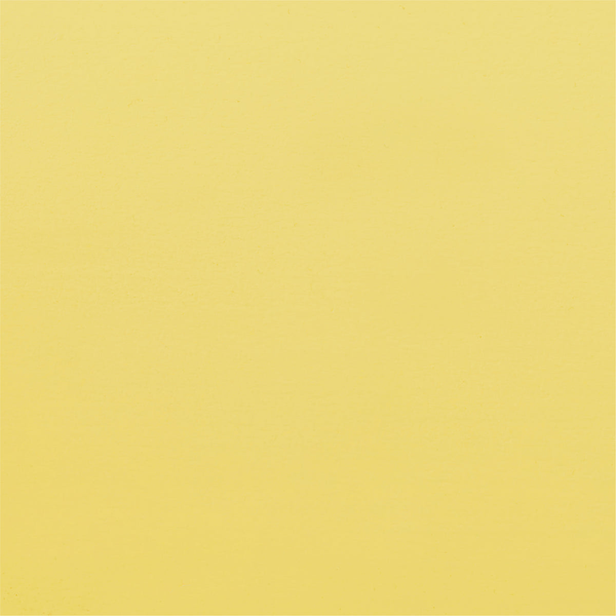 BULLNOSE Stuhl | Buche Stained Gelb